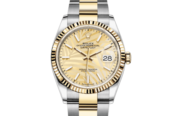Rolex Datejust 36 Oyster 36 mm Oystersteel and yellow gold m126233-0038