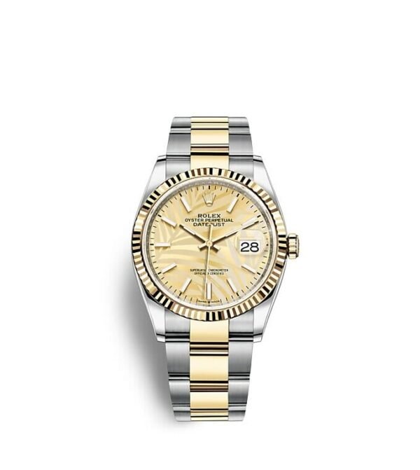 Rolex Datejust 36 Oyster 36 mm Oystersteel and yellow gold m126233-0038