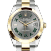Rolex Datejust 41 Oyster 41 mm Oystersteel and yellow gold m126303-0019